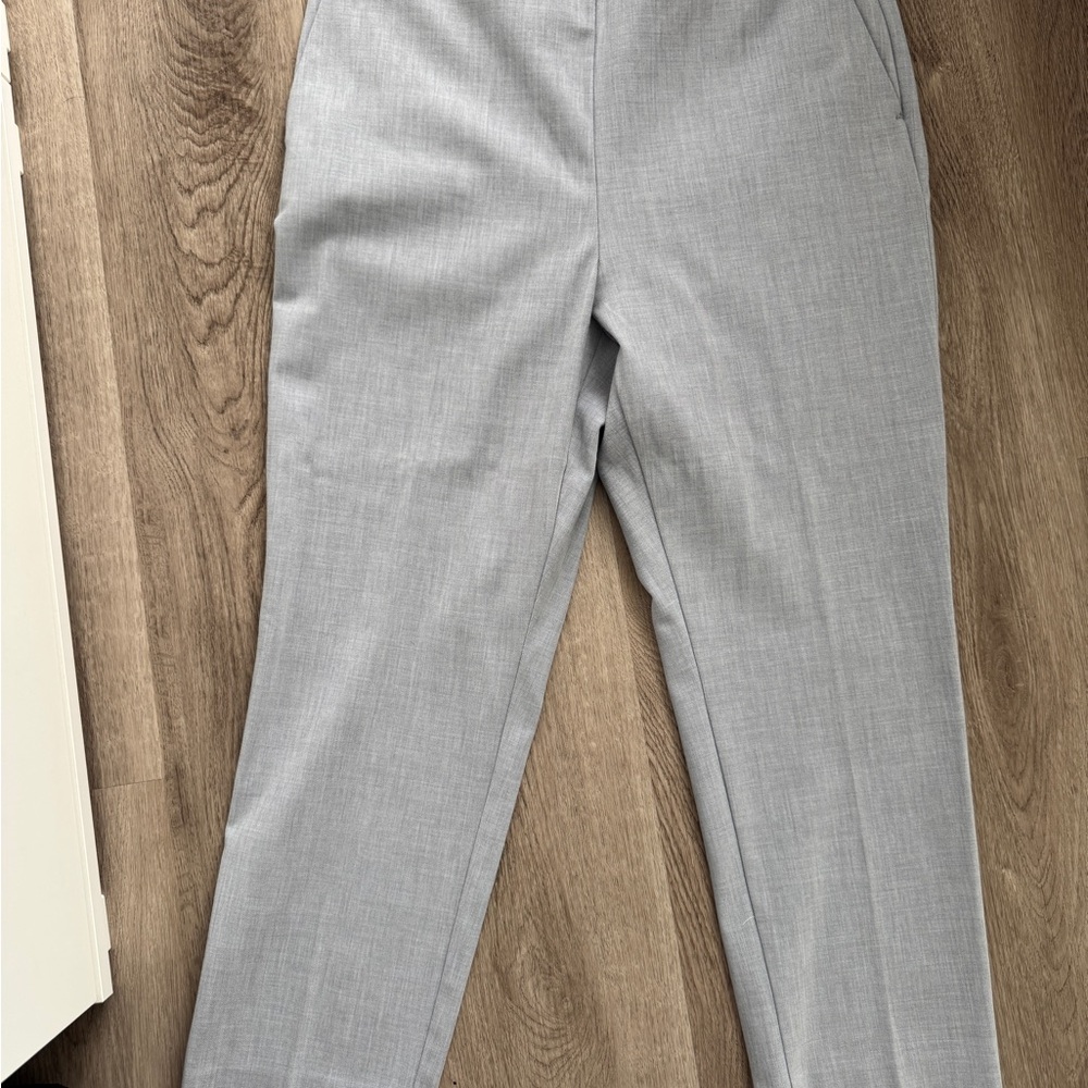 Ann Taylor Eva ankle pant side zip curvy